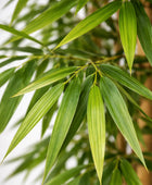 Künstlicher Bambus – Kenai | 210 cm