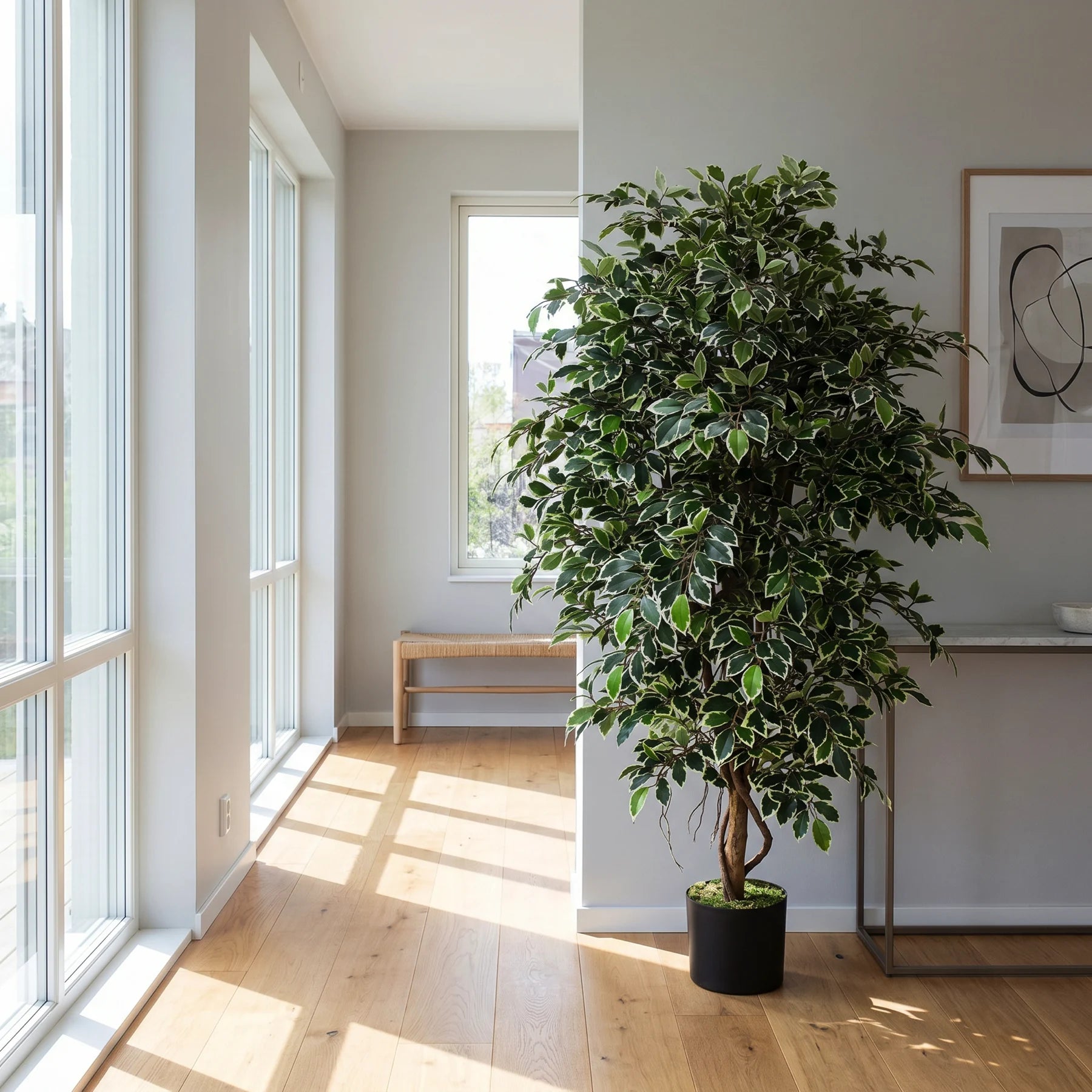 Künstlicher Ficus Retusa - Lysandros, 180 cm, Kunstbaum von aplanta, mit Echtholzstamm, inkl. Startertopf, in Natur