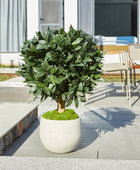 Künstlicher Lorbeerbaum – Vaelis | 75 cm