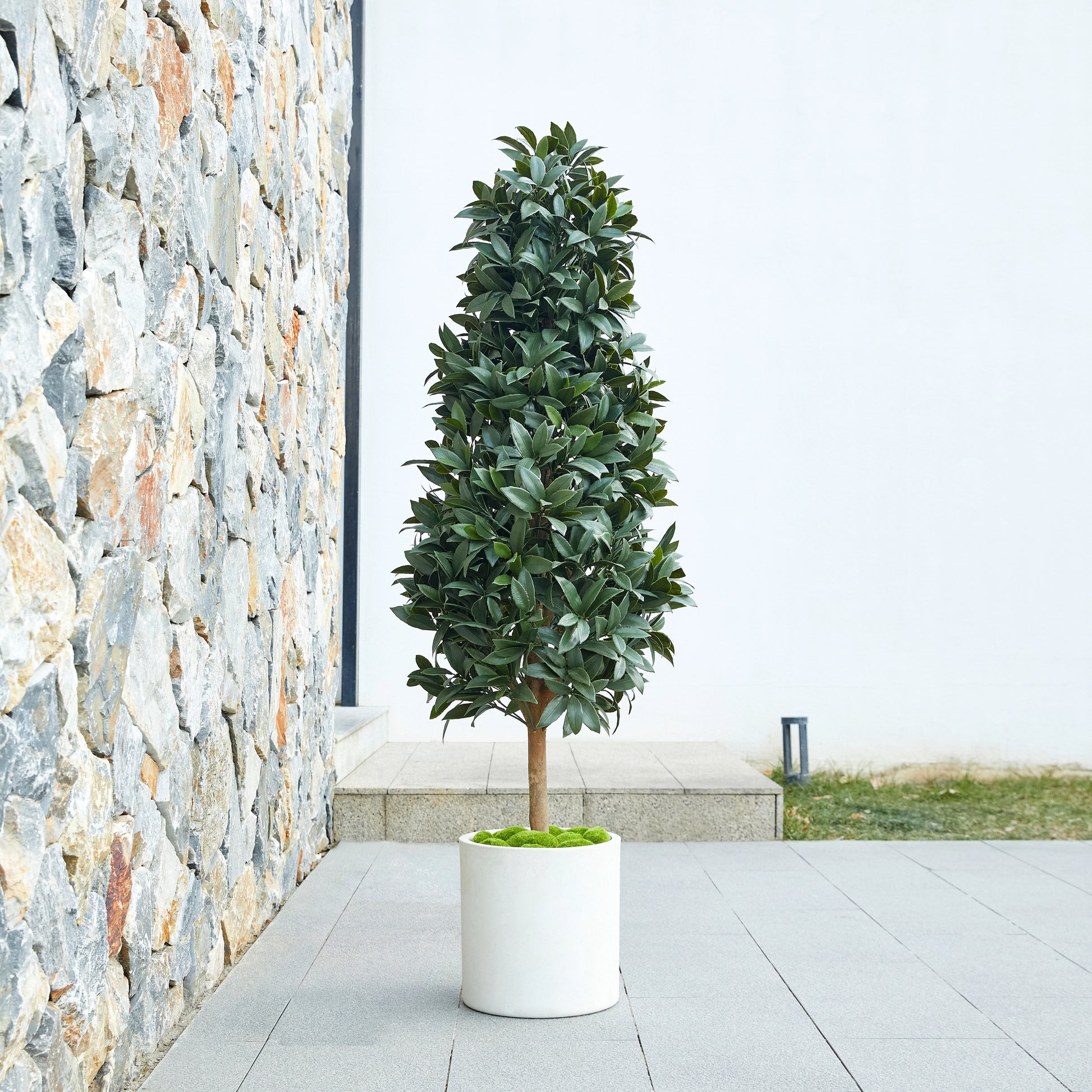 Künstlicher Lorbeerbaum - Alarion, 150 cm, Kunstbaum von aplanta, mit Echtholzstamm, UV-beständig, inkl. Startertopf, in Grün