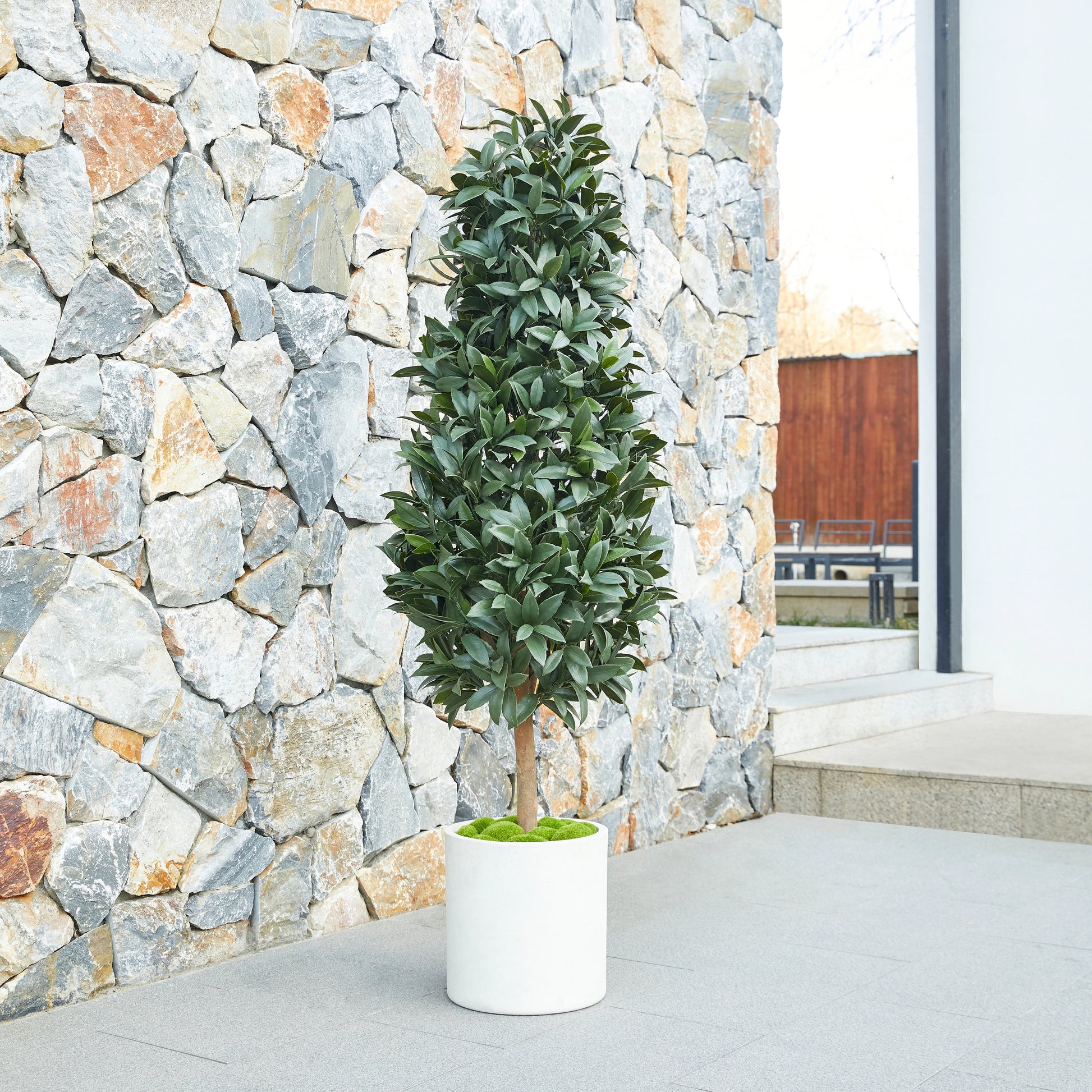Künstlicher Lorbeerbaum - Alarion, 150 cm, Kunstbaum von aplanta, mit Echtholzstamm, UV-beständig, inkl. Startertopf, in Grün