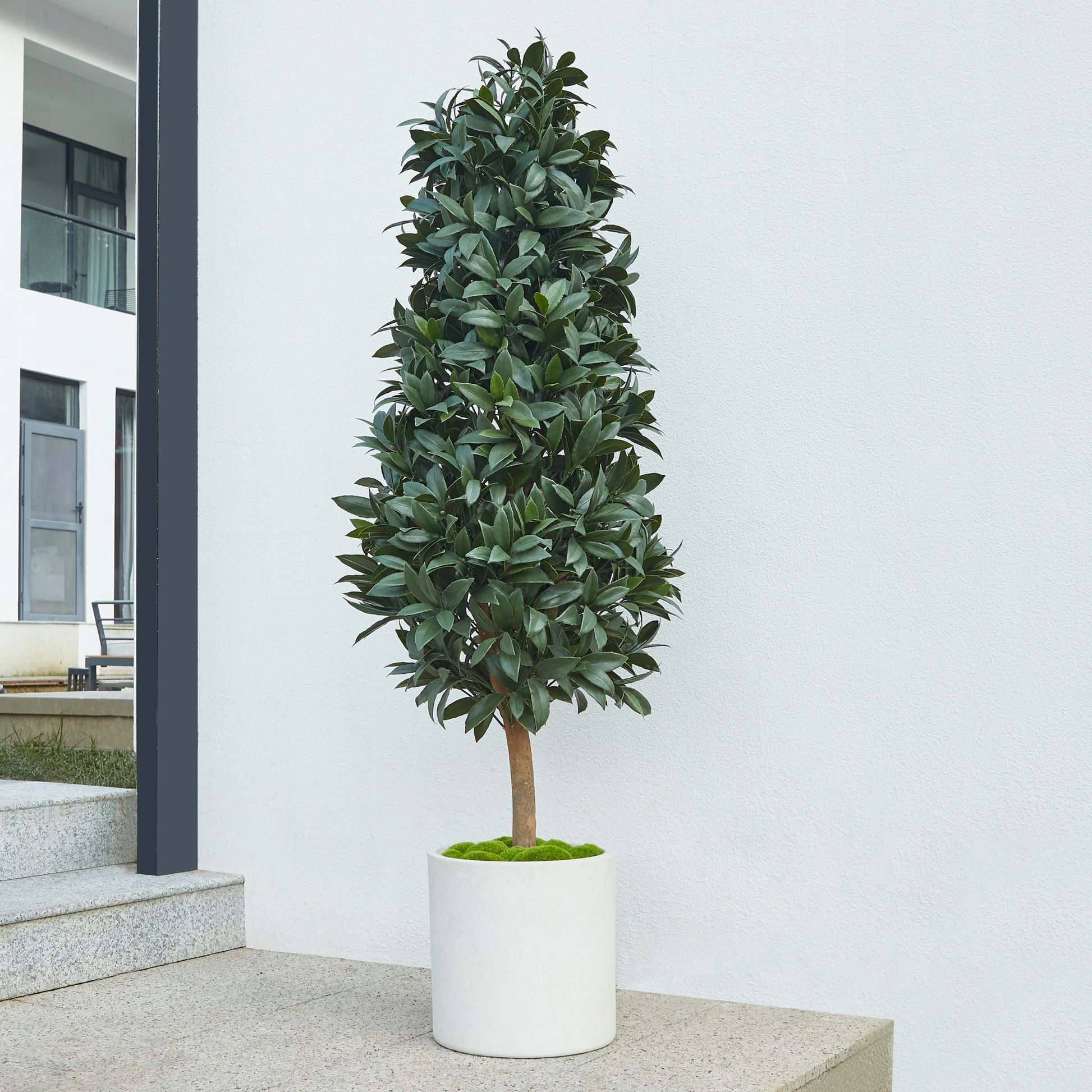 Künstlicher Lorbeerbaum - Alarion, 150 cm, Kunstbaum von aplanta, mit Echtholzstamm, UV-beständig, inkl. Startertopf, in Grün