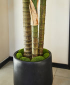 Künstliche Goldfruchtpalme – Elion | 180 cm