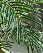 Künstliche Palme – Caliora | 140 cm