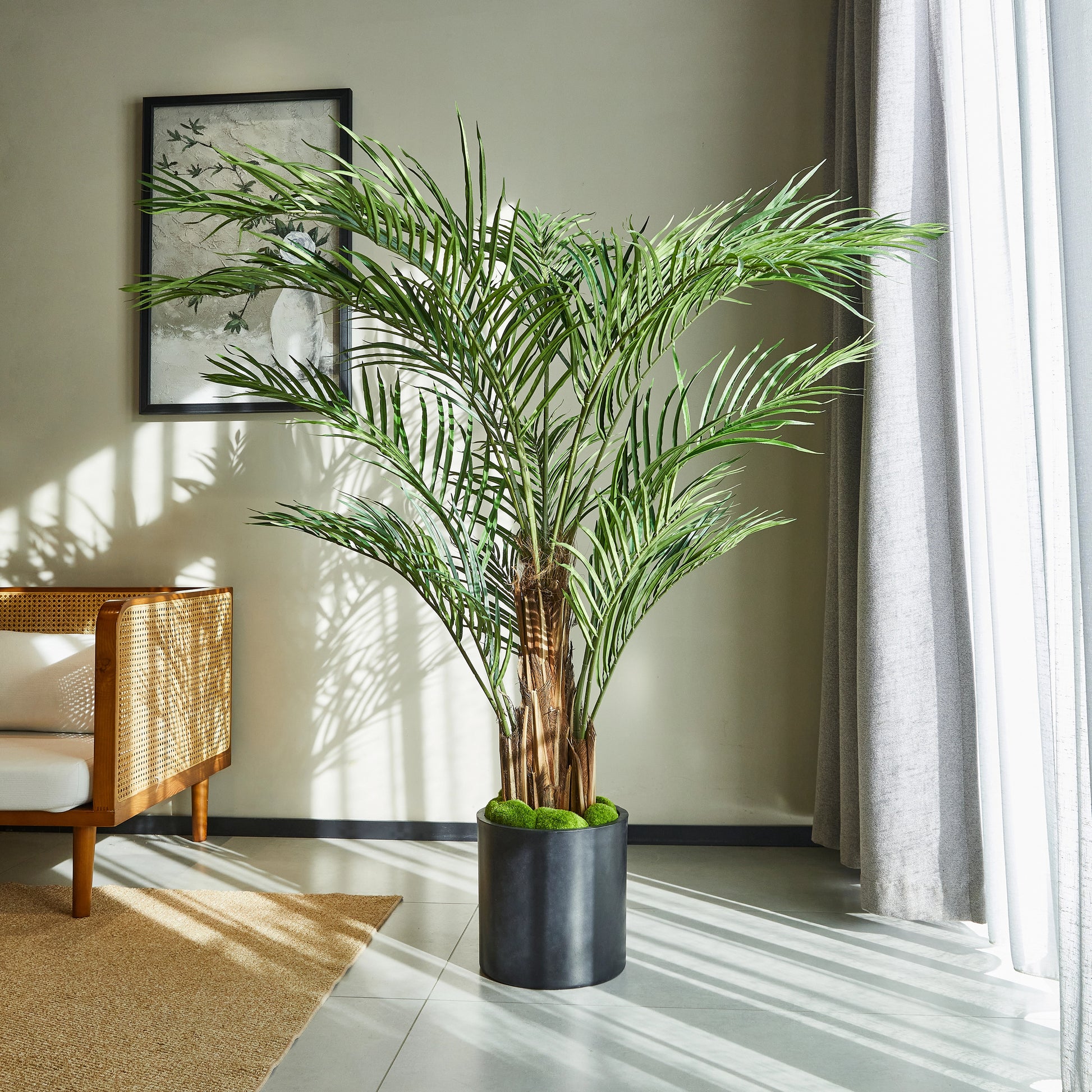 Künstliche Kentia-Palme – Caliora | 180 cm