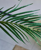 Künstliche Areca-Palme – Caliora | 210 cm