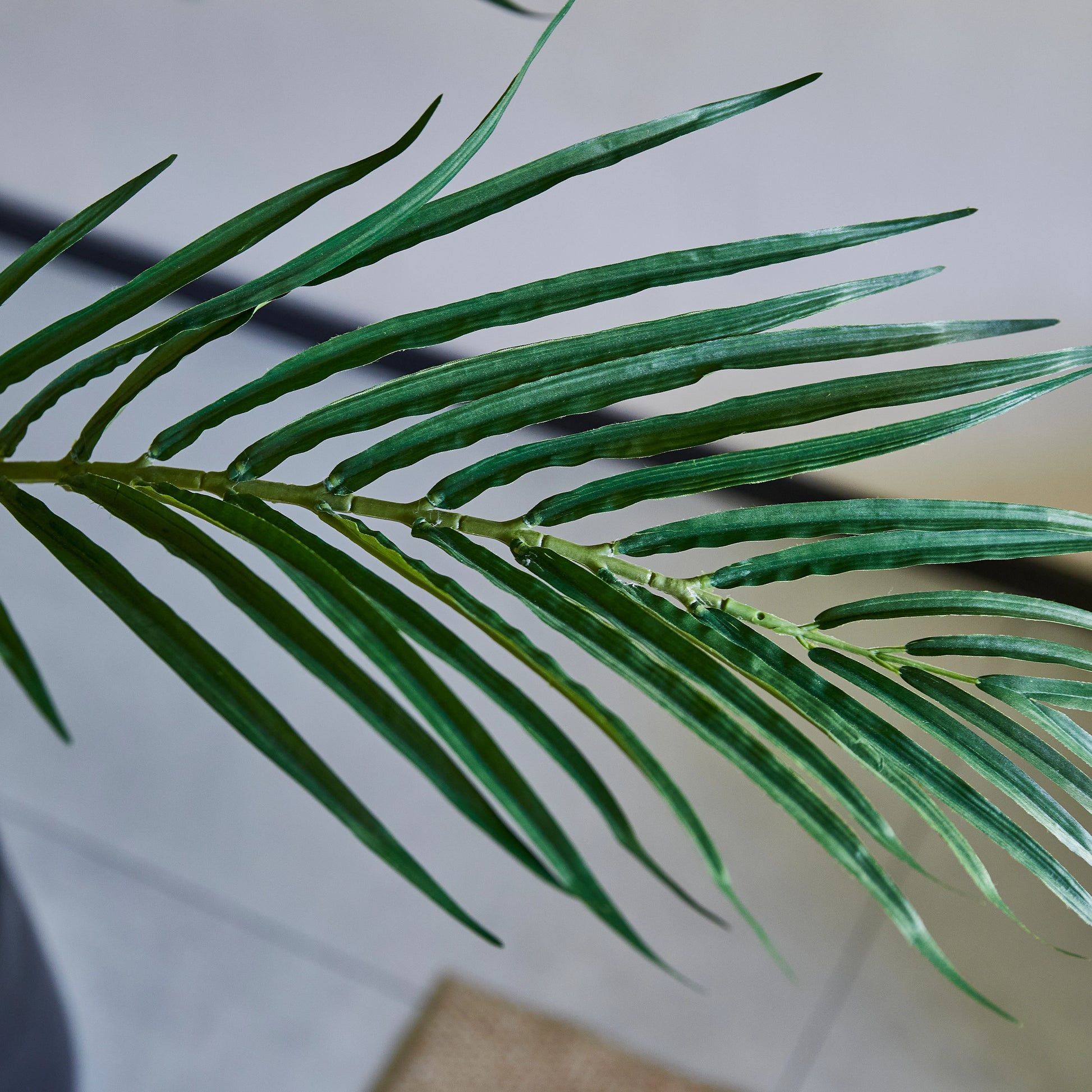 Künstliche Areca-Palme – Caliora | 210 cm