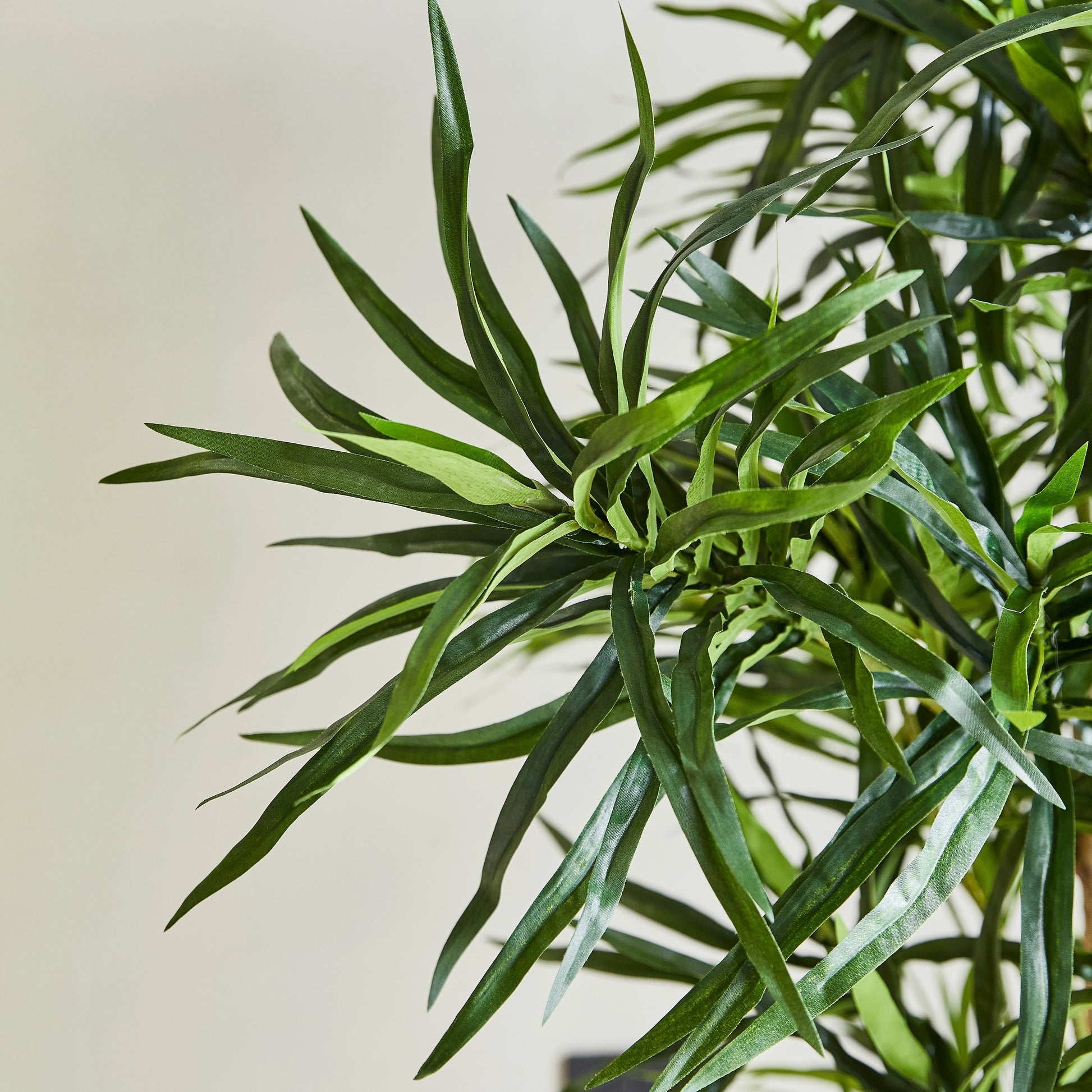 Künstliche Dracaena Reflexa - Maelis, 180 cm, Kunstbaum von aplanta, mit Echtholzstamm, inkl. Startertopf, in Grün