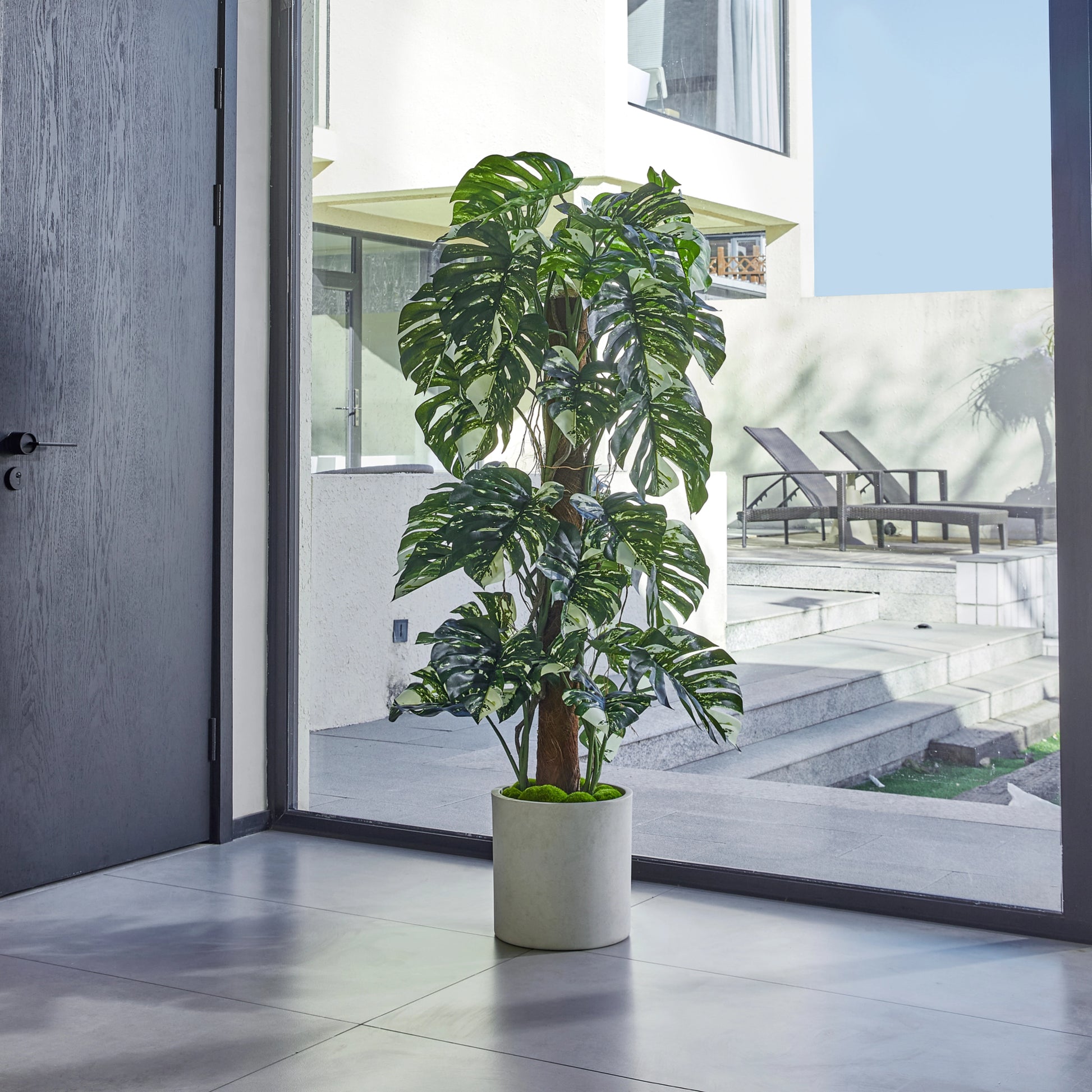 Künstlicher Split-Philodendron – Elowen | 150 cm