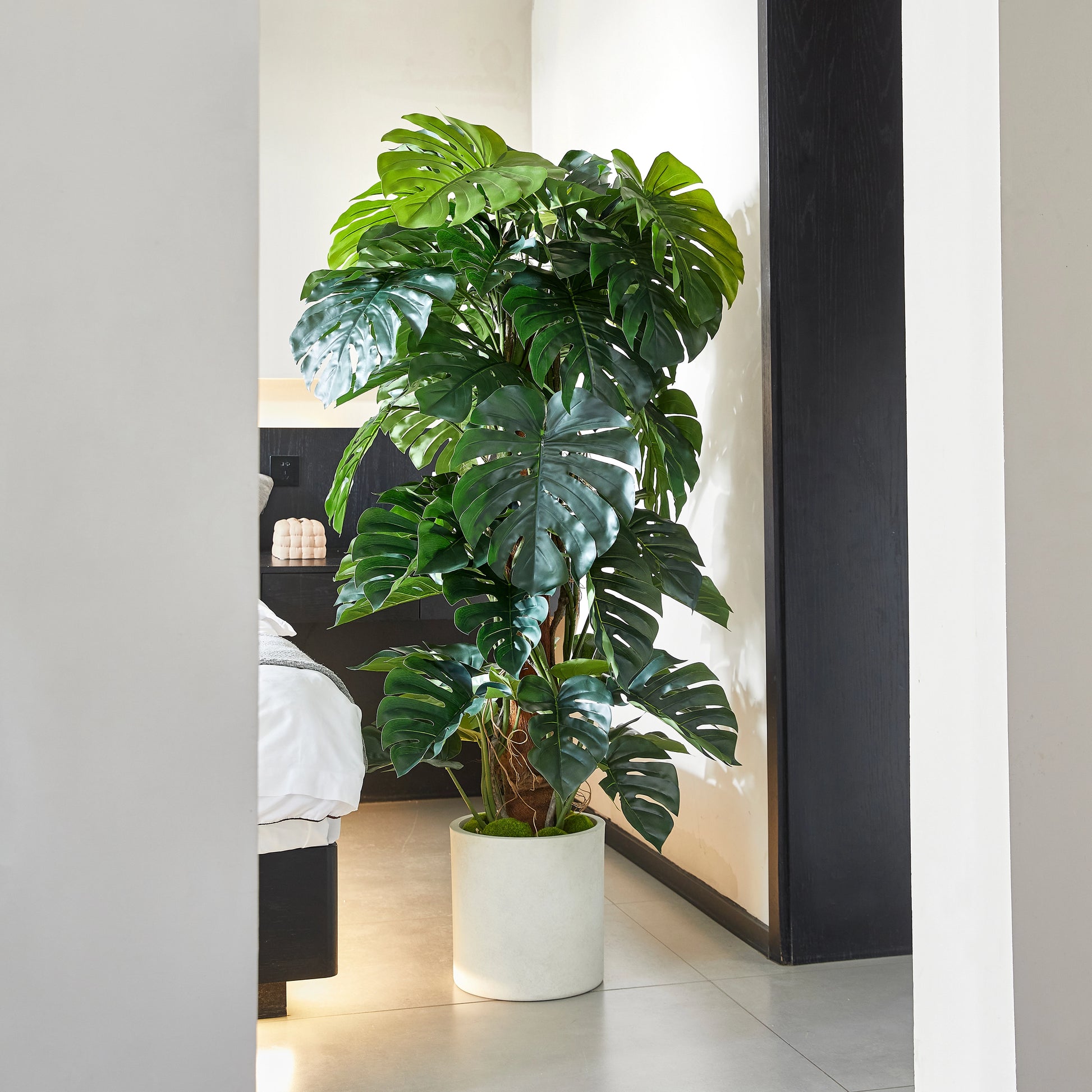 Künstlicher Split-Philodendron – Zephira | 160 cm
