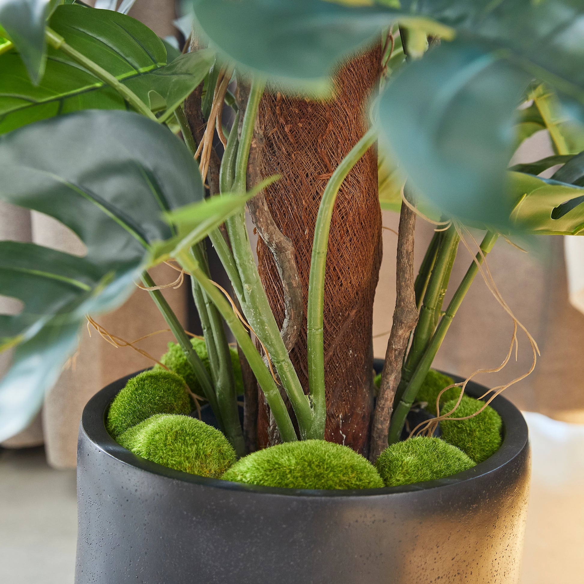 Künstlicher Split-Philodendron – Zephira | 190 cm