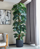 Künstlicher Split-Philodendron – Zephira | 210 cm