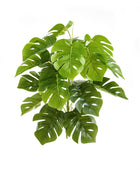 Künstlicher Monstera – Alenia | 50 cm