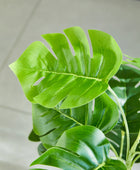 Künstlicher Monstera – Alenia | 50 cm