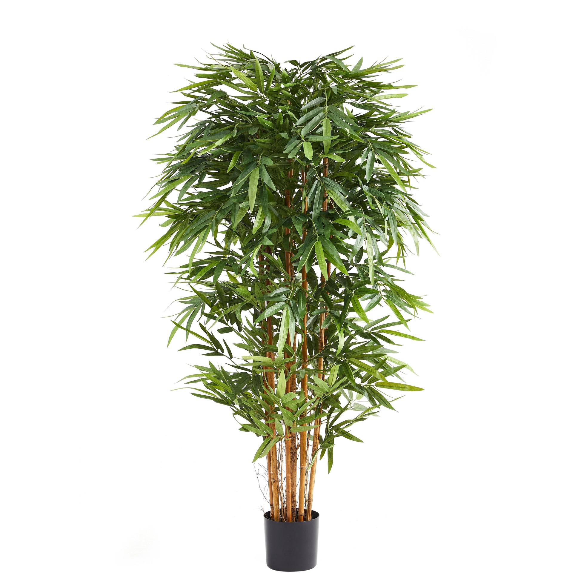 Künstlicher Bambus – Nayoko | 180 cm