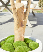 Künstlicher Olivenbaum – Lysandra | 150 cm