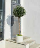 Künstlicher Olivenbaum – Thalior | 150 cm