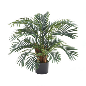 Künstlicher Palmfarn – Alamea | 75 cm