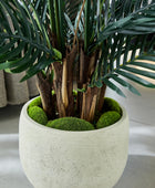 Künstlicher Palmfarn – Alamea | 75 cm