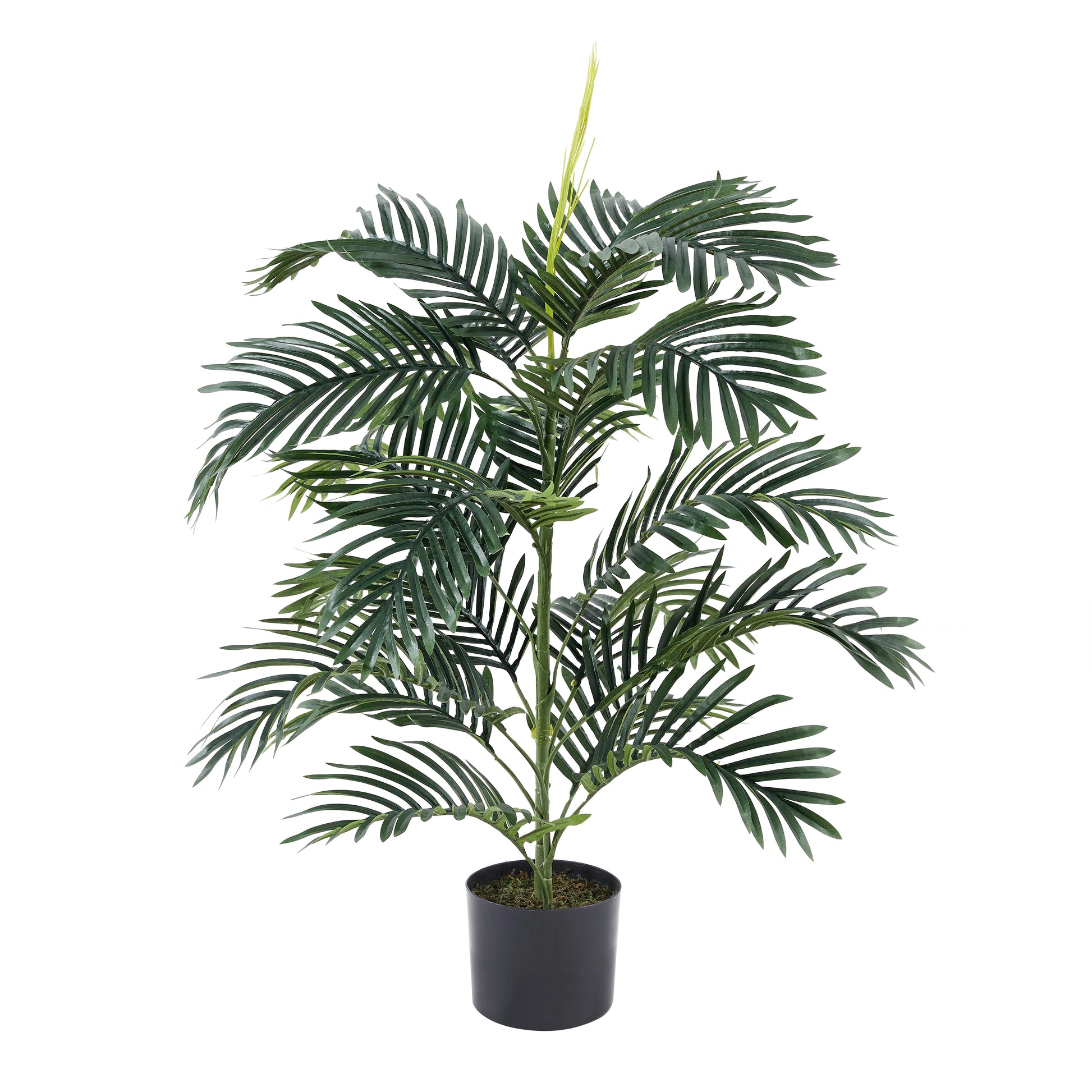 Künstliche Palme – Senara | 90 cm