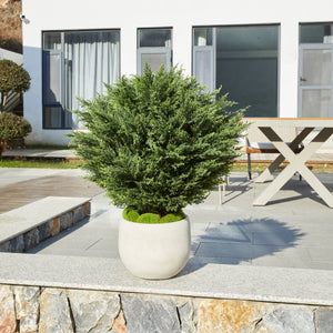 Künstliche Zypresse – Sylvano | 75 cm