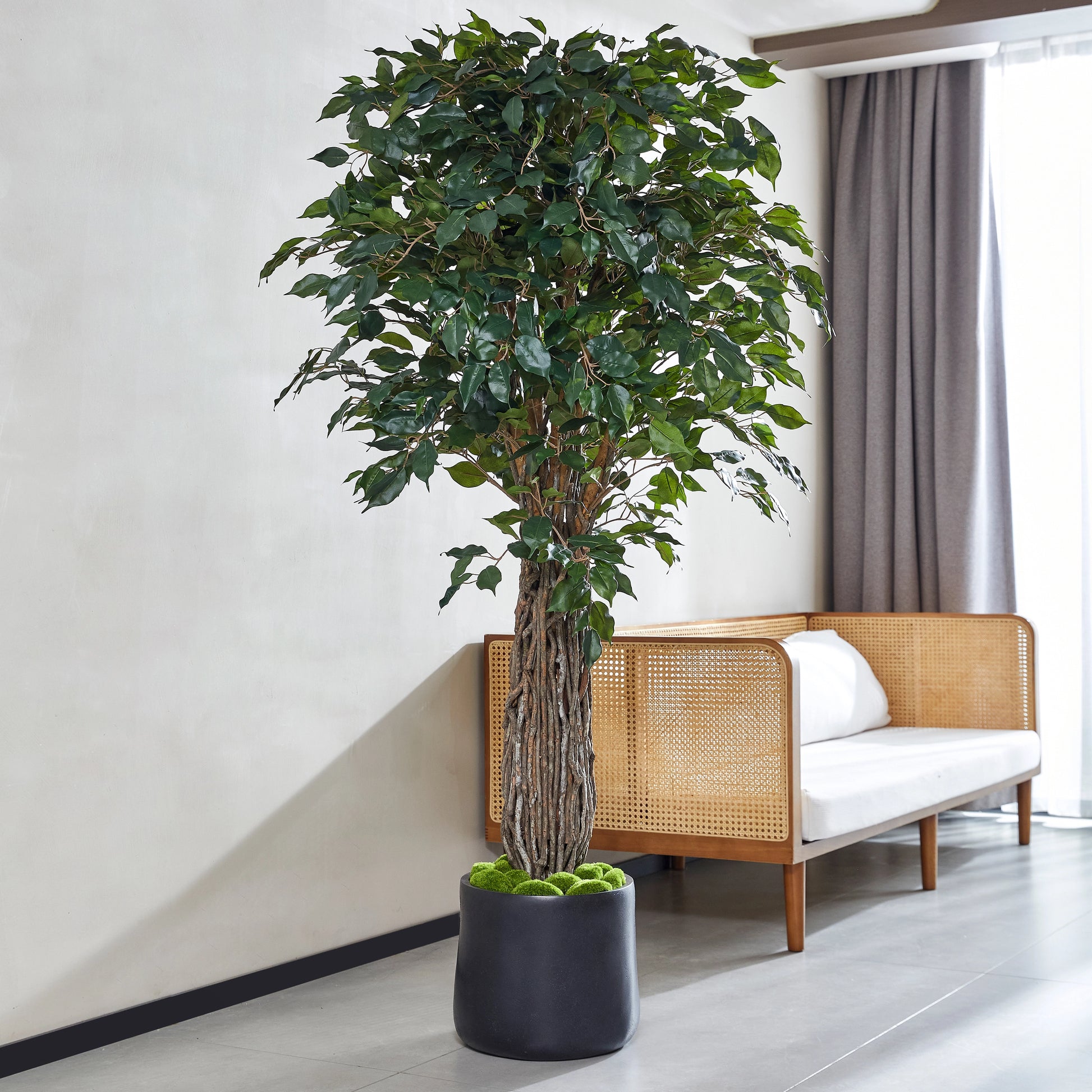 Künstlicher Ficus – Amadior | 180 cm