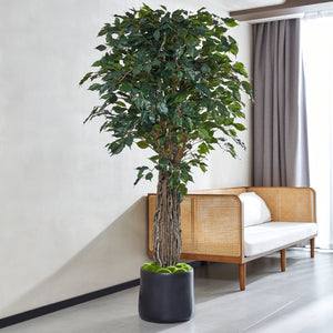 Künstlicher Ficus – Amadior | 180 cm