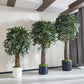Künstlicher Ficus - Amadior, 180 cm, Kunstbaum von aplanta, mit Echtholzstamm, UV-beständig, inkl. Startertopf, in Grün