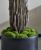 Künstlicher Ficus – Amadior | 180 cm