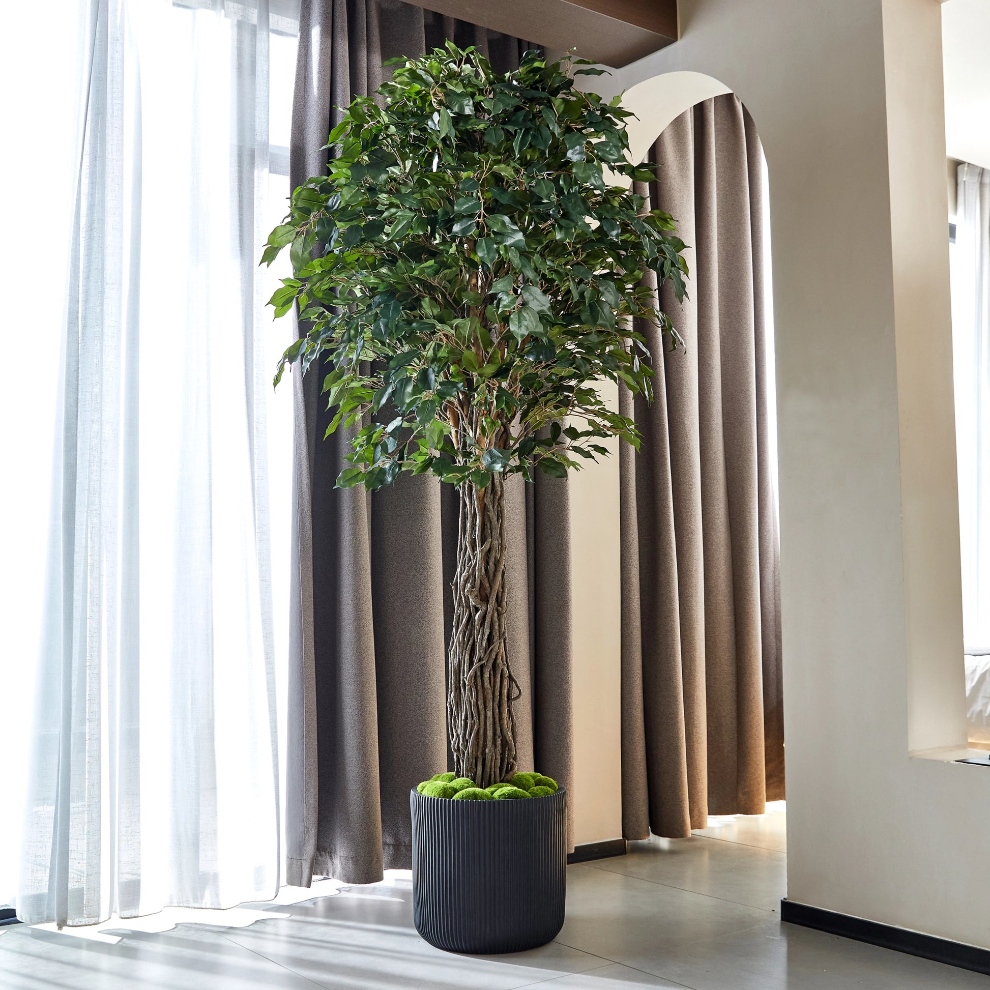 Künstlicher Ficus – Amadior | 210 cm