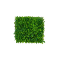 Flexible Pothos Pflanzenwand - Melvin | 130-200 cm