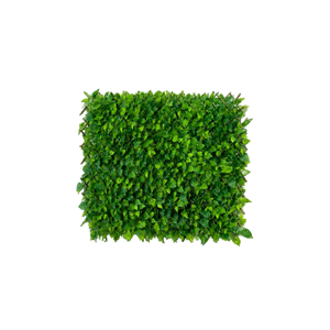 Flexible Pothos Pflanzenwand - Melvin I 130-200 cm