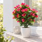 Künstliche Steck-Bougainvillea - Elly | 50 cm fuchsia