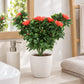 Künstliche Steck-Camellia - Susan | 47 cm