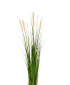 Künstliches Schilfgras - Fluffi | 180 cm
