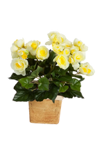 Künstliche Begonie - Steckpflanze - Lara | 20 cm