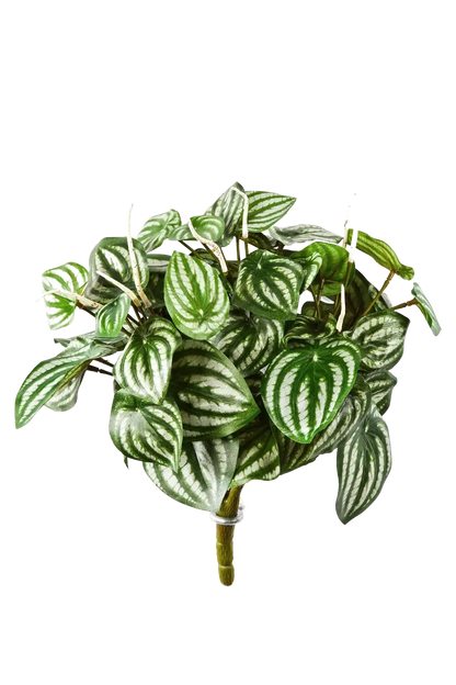 Künstliche Peperomia - Melon, 35 cm, Kunstpflanze von aplanta, Steckpflanze, in Natur, für drinnen