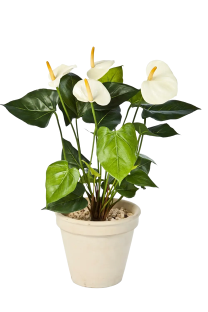 Künstliche Flamingoblume - Steckpflanze - Nora, 56 cm, Kunstpflanze von aplanta, in Creme, für drinnen