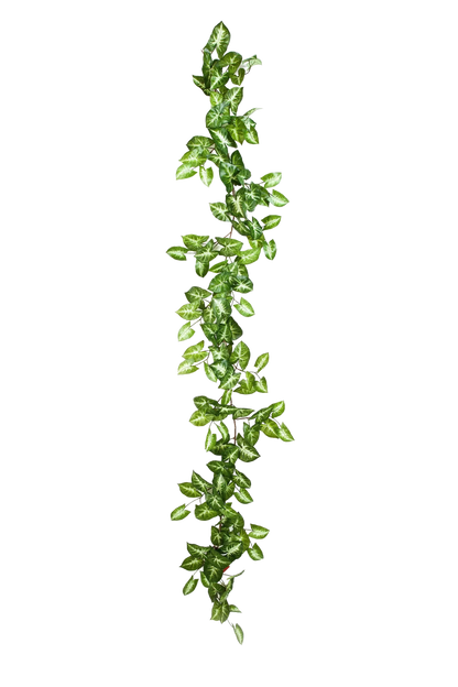 Künstliche Nephthytis Girlande - Annabell, 180 cm, Kunstpflanze von aplanta, in Natur, für drinnen