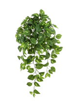 Künstlicher Hänge-Pothos - Bella, 85 cm, Kunstpflanze von aplanta, Steckpflanze, in Natur, für drinnen