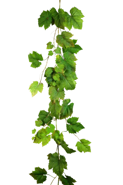 Künstliche Weinreben Girlande - Bela, 180 cm, Kunstpflanze von aplanta, Steckpflanze, in Natur, für drinnen