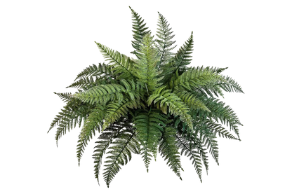 Künstlicher Schwertfarn - Christin, 70 cm, Kunstpflanze von aplanta, Steckpflanze, in Natur, für drinnen