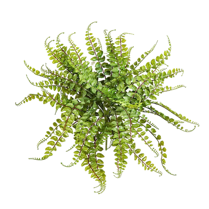 Künstlicher Streifenfarn - Carolina, 40 cm, Kunstpflanze von aplanta, Steckpflanze, in Natur, für drinnen