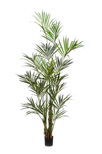 Künstliche Kentia Palme - Cataleya, 260 cm, Kunstbaum von aplanta, in Natur, für drinnen