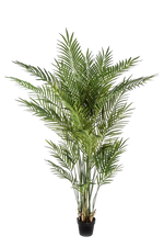 Künstliche Goldfruchtpalme - Eva, 205 cm, Kunstbaum von aplanta, im schwarzen Topf, in Natur, für drinnen