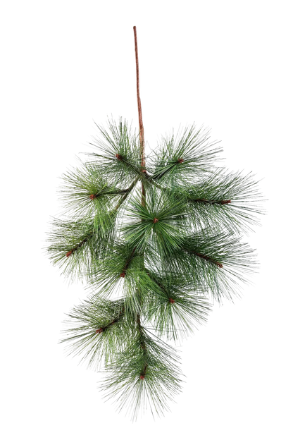 Künstlicher Pinien-Zweig - Friedrich auf transparentem Hintergrund mit echt wirkenden Kunstblättern in natürlicher Anordnung. Künstlicher Pinien-Zweig - Friedrich hat die Farbe Natur und ist 70 cm hoch. | aplanta Kunstpflanzen
