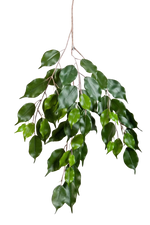 Künstlicher Ficus-Zweig - Georgia, Kunstpflanze von aplanta, Steckpflanze, in Natur, für drinnen