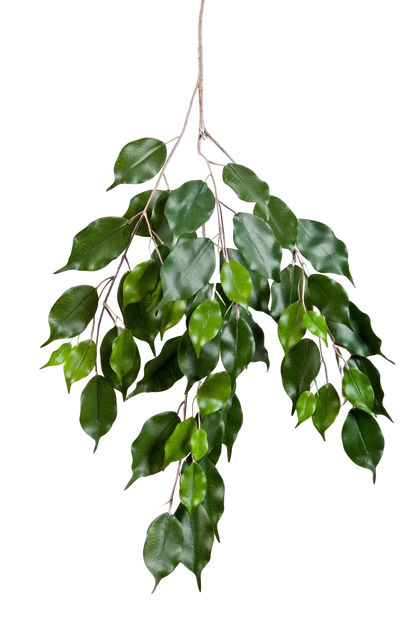 Künstlicher Ficus-Zweig - Georgia, Kunstpflanze von aplanta, Steckpflanze, in Natur, für drinnen