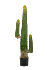 Künstlicher Kaktus - Hagen auf transparentem Hintergrund mit echt wirkenden Kunstblättern. Diese Kunstpflanze gehört zur Gattung/Familie der "Kakteen" bzw. "Kunst-Kakteen".