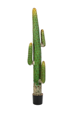 Künstlicher Kaktus - Hagen auf transparentem Hintergrund mit echt wirkenden Kunstblättern. Diese Kunstpflanze gehört zur Gattung/Familie der "Kakteen" bzw. "Kunst-Kakteen".